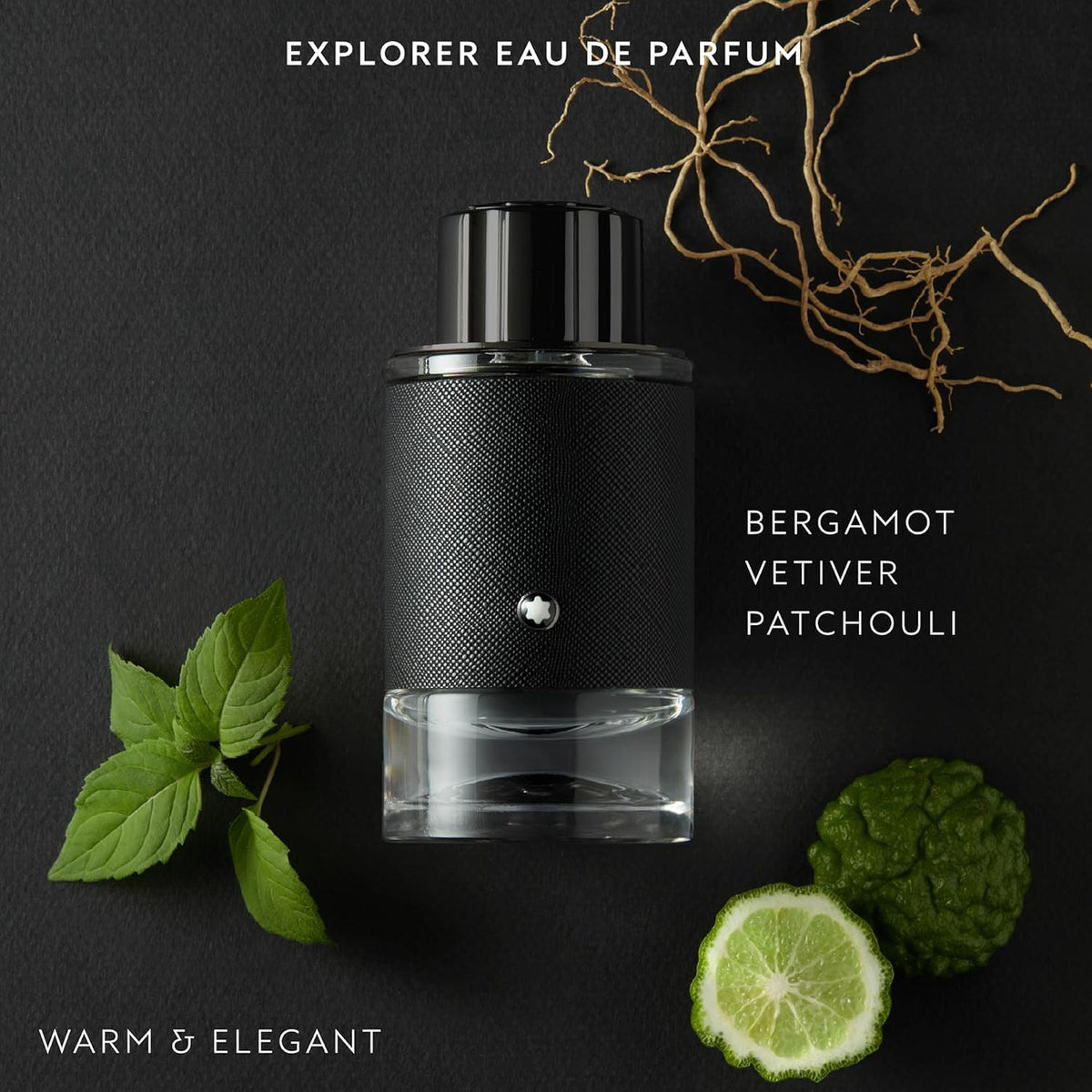 Montblanc Explorer EDP Spray (M) 100 ml - Perneed